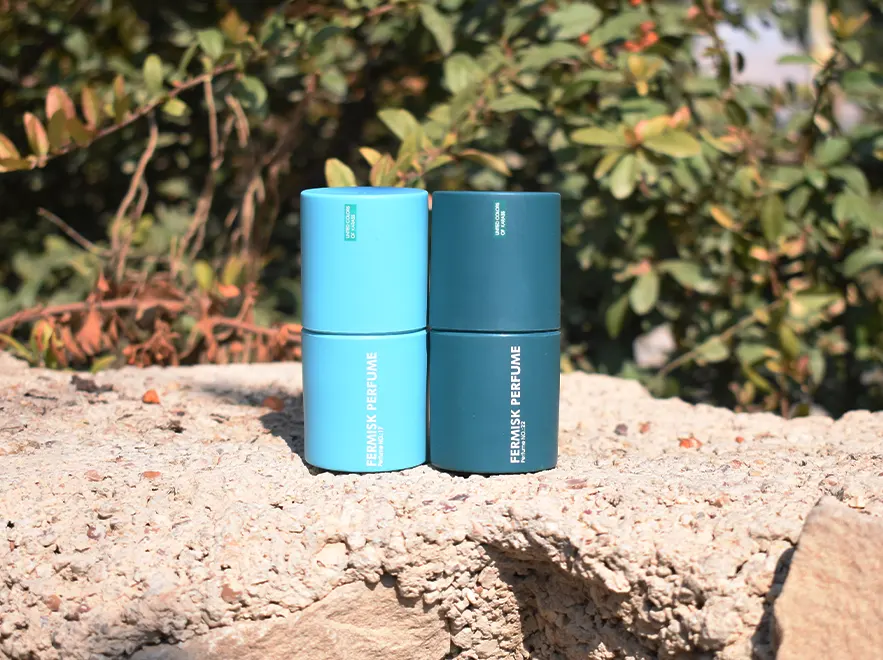 نقد و بررسی عطر جیبی فرمیسک مدل Lacoste Essential Colonge شماره 17 حجم 30 میلی لیتر