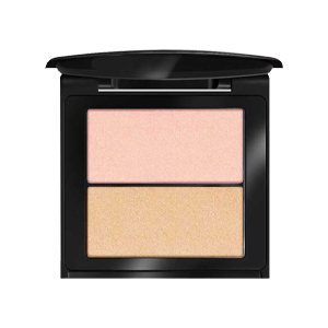 هایلایتر پودری این لی