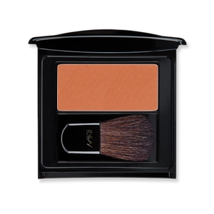 رژگونه پودری این لی