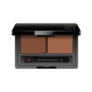 سایه ابرو دو رنگ این لی