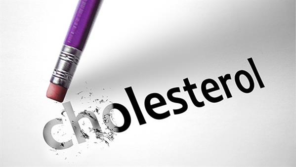 خوراکی هایی برای کاهش کلسترول